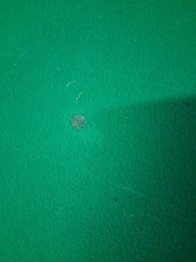 pool table/snooker table