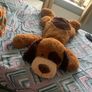 huge dog teddy Image 2