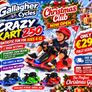 Kids Crazy Kart 250 Image 3