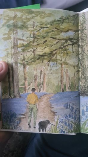 BEAUTIFUL ILLUSTRATED. THE FIRESIDE BOOK. 1995.POEMS OLD AND NEW EACH BEAUTIFULLY illustrated by a full page painting special commission to capture the flavour of the words. Hardback With Dustjacket In Very Good Condition.