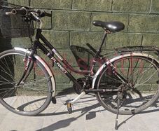 Parkway Planet bicycle