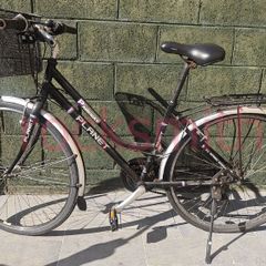 Parkway Planet bicycle