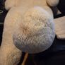 Giant Teddy Bear Image 5