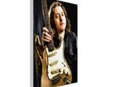 Rory Gallagher Art Print Thick Canvas 12inches x 18inches