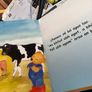 3 large size Irish children's books Image 7