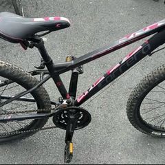 Girls carrera bike