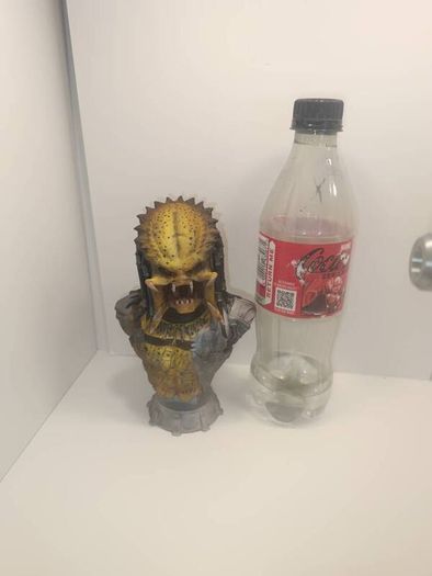 Predator Bust