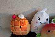 Squishmallow Teddys