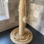 FREE Cat scratching post Image 2