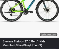 mountain bike