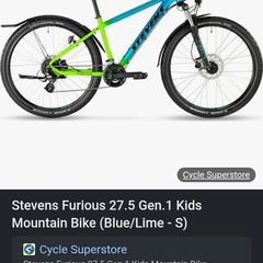 mountain bike