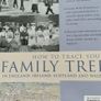 How to trace your family tree Image 2