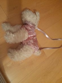 Girl's handbag