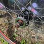 Fixie, single speed wheels. Image 7