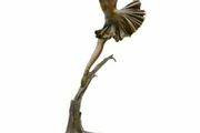 Performing Lady (51cm) - Bronze, Marble (Signed)