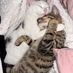 Cathbutler