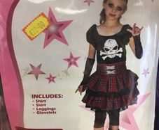 Punk Girl costume
