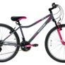 bike Image 2