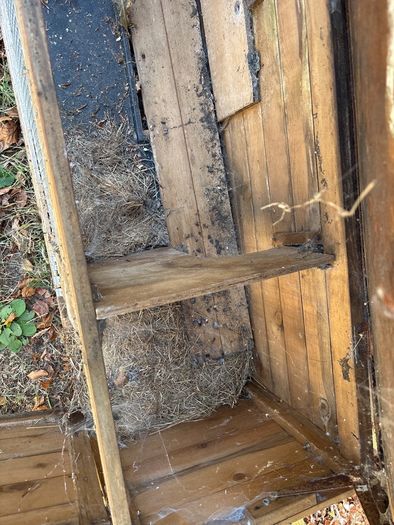 Rabbit Hutch