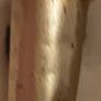 swagger stick Image 5