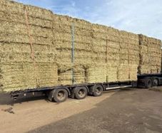 June Irish Hay&Haylage