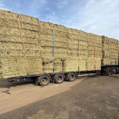 June Irish Hay&Haylage