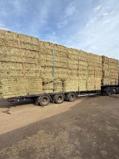 June Irish Hay&Haylage