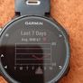 Garmin Forerunner 735XT + charge (read description) leixlip areA Image 6
