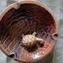WADE Ashtray Image 2