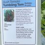 Outdoor tomato plants (different varities for garden, patio, container, hanging baskets) Image 4