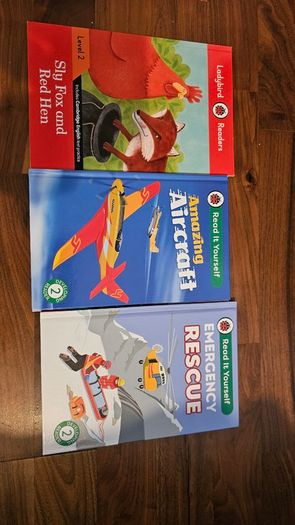 Ladybird readers x 11