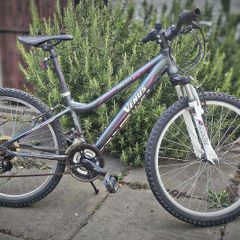 24" Procycle Venus Kids Bike - Aluminium Frame (Terenure)