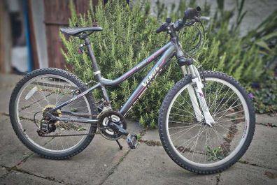 24" Procycle Venus Kids Bike - Aluminium Frame (Terenure)