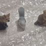 Little Animals. China Image 7