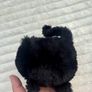 Jellycat Black Caboodle Kitten Soft Toy Small Black  approx. 5 Used Please see photos Image 7