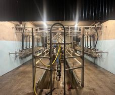 Milking parlour