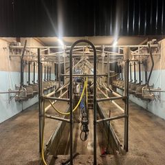Milking parlour