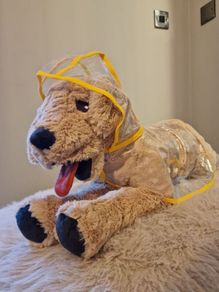 dog cloth