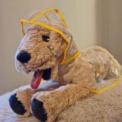 dog cloth