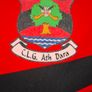 Vintage Adare GAA (Limerick) O'Neills Hurling/Gaelic Football Jersey (Youths 13-14 Years) FREE POST Image 3