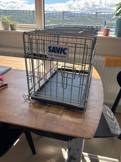 dog crate