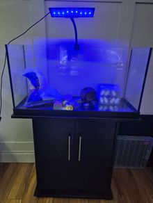 100ltr fish tank and accessories