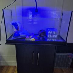 100ltr fish tank and accessories