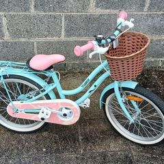 Verve Kids Bike (4 to 7y)