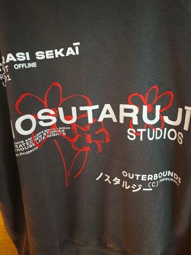 NEXT Hoodie