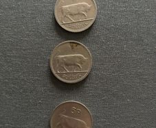 Vintage Irish Scilling (3)