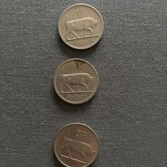 Vintage Irish Scilling (3)