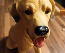 Vintage hard plastic resin type dog
