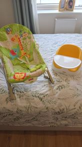 Baby Bouncer & Seat
