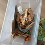 Wooden train set 3 sets Image 5